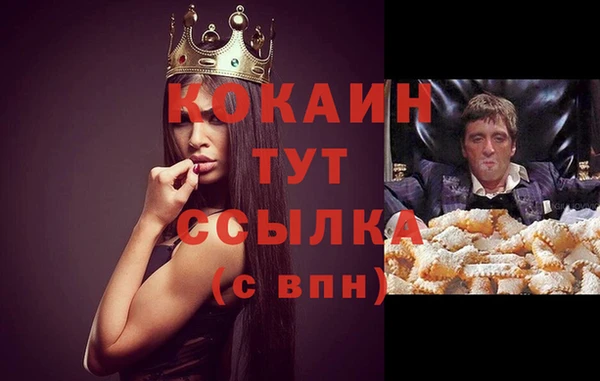 2c-b Ладушкин