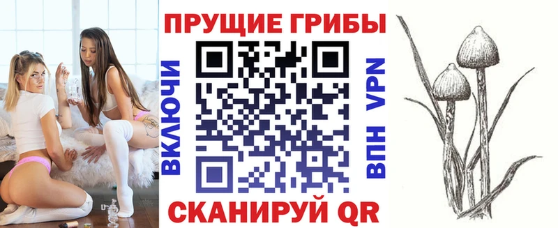Галлюциногенные грибы MAGIC MUSHROOMS  Купить закладки  Петушки 